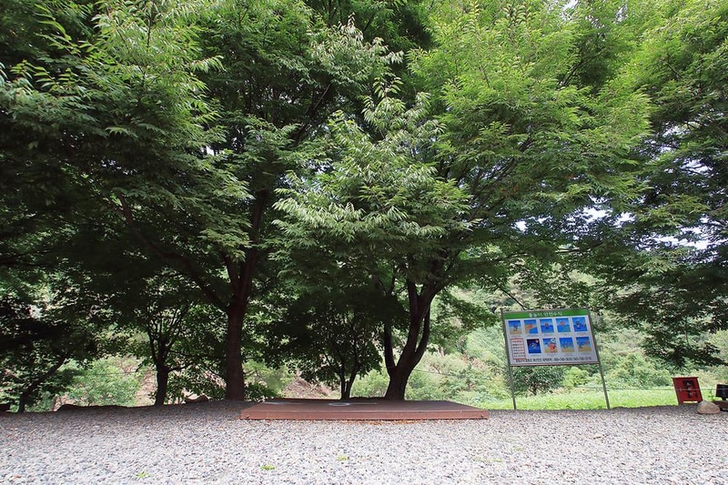 맑은누리 캠핑장 시설 사진 1