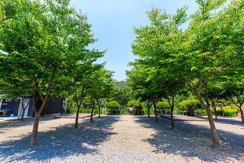 밀양 가보자 캠핑장 대표 사진