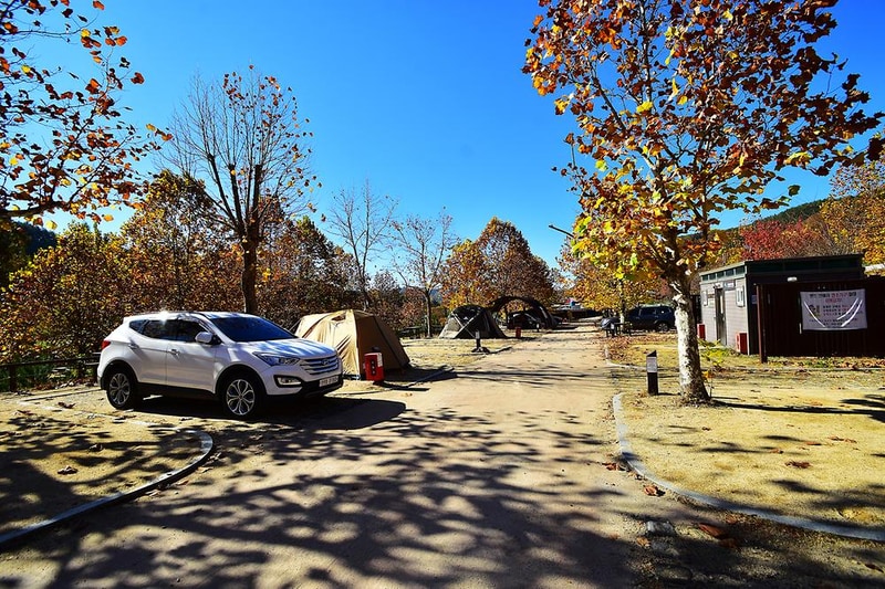 주왕산국립공원 상의자동차 야영장 시설 사진 18