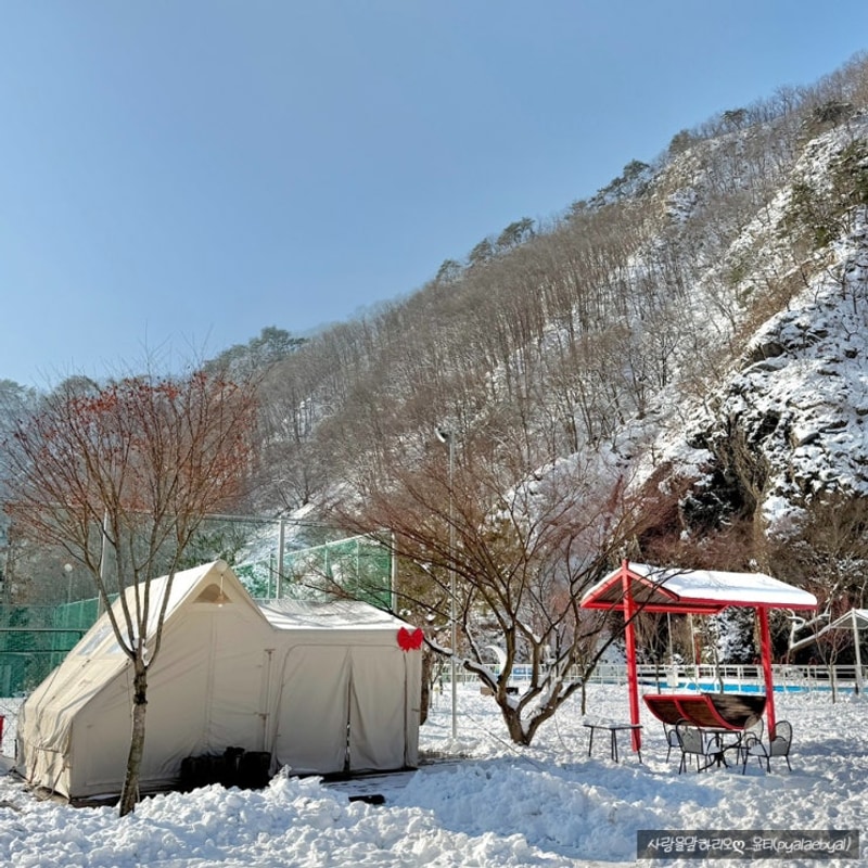 전남 장성 여행 정담은 캠핑 & 글램핑