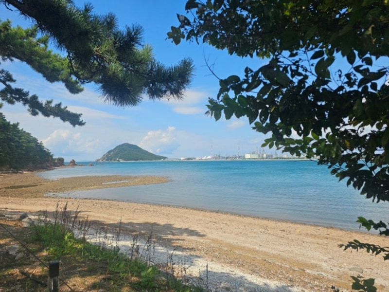 서산 벌천포 캠핑장 해수욕장 명당 바닷가 노을과 야경이 멋진 곳