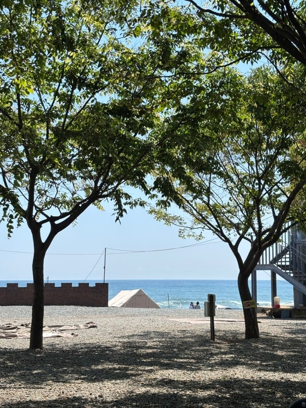 포항 오토캠핑장 구룡포 오션뷰 호미곶 근처 그린오토캠핑장...