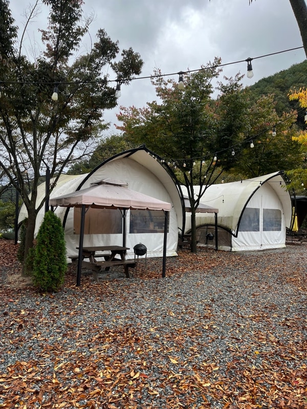 경남 합천 글램핑장 수영장 있는 마노아워터캠핑장 무료...