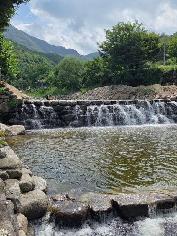 팔공산 근처에서 군위 솔밭야영장에서 보낸 여름날의 하루