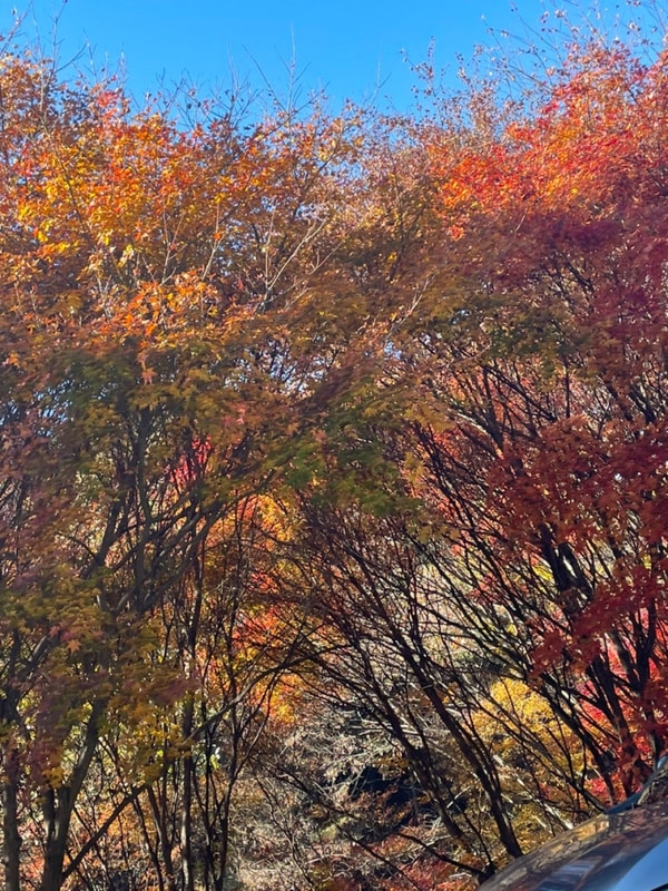 순창 강천산 오토캠핑장