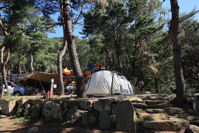 강화도 아침 숲속야영장 시설 사진 11