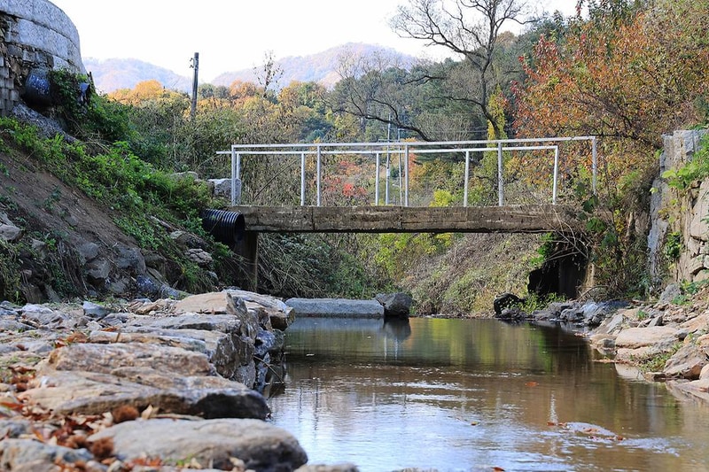 다올숲 시설 사진 5