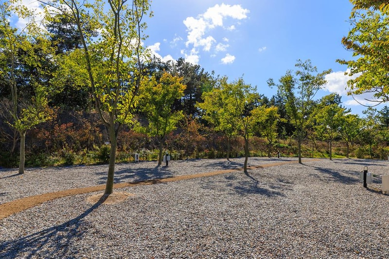 노을숲캠핑장 시설 사진 6