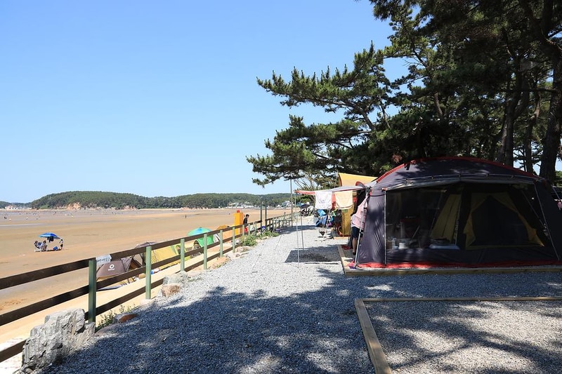 몽산포오토캠핑장 시설 사진 8