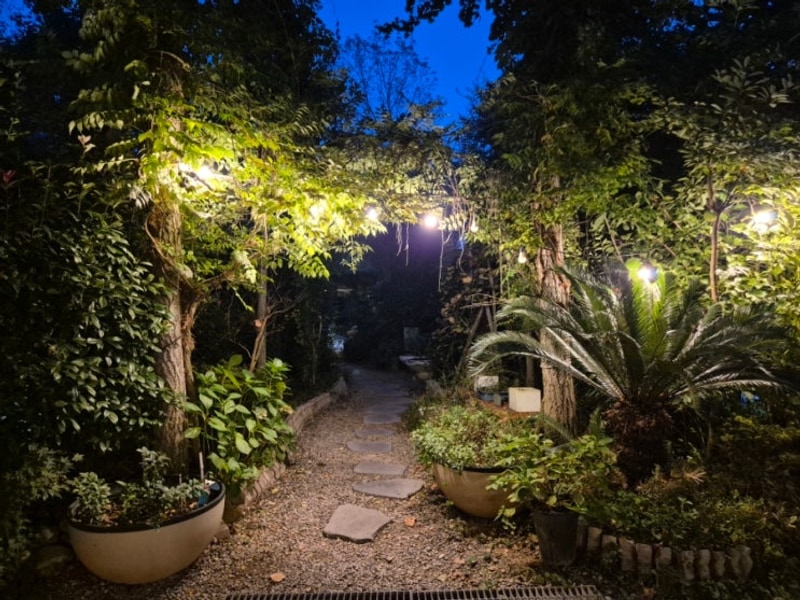 남해 버드하우스캠핑장 명당자리 후박4 사이트 이용후기