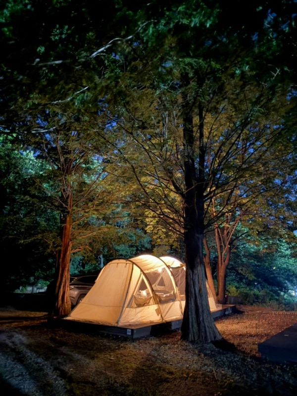 [양주 캠핑장] 봄이오는캠프