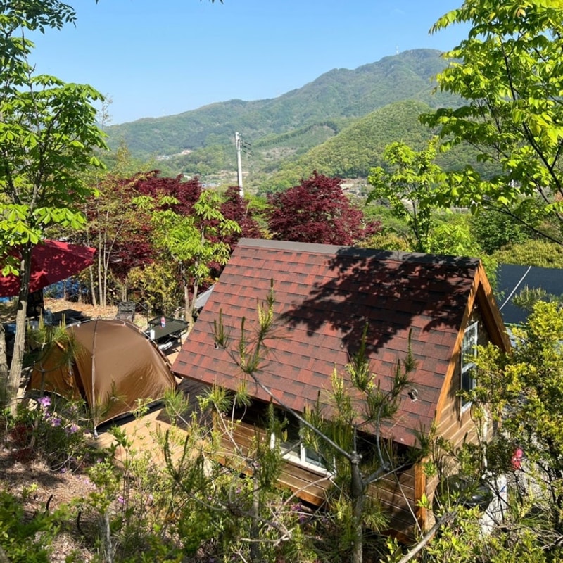 서울 근교 동두천 파인힐빌리지 캠핑장 방갈로 장단점 후기