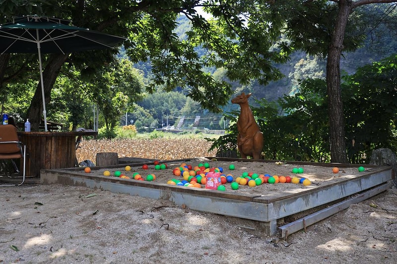 다 그린 시설 사진 9