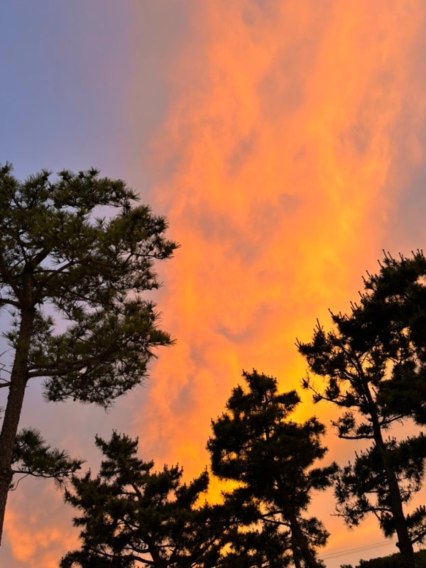 [다섯 번째 캠핑] 고성 오호 캠핑장 (해수욕장 앞 A4) 6/20-22