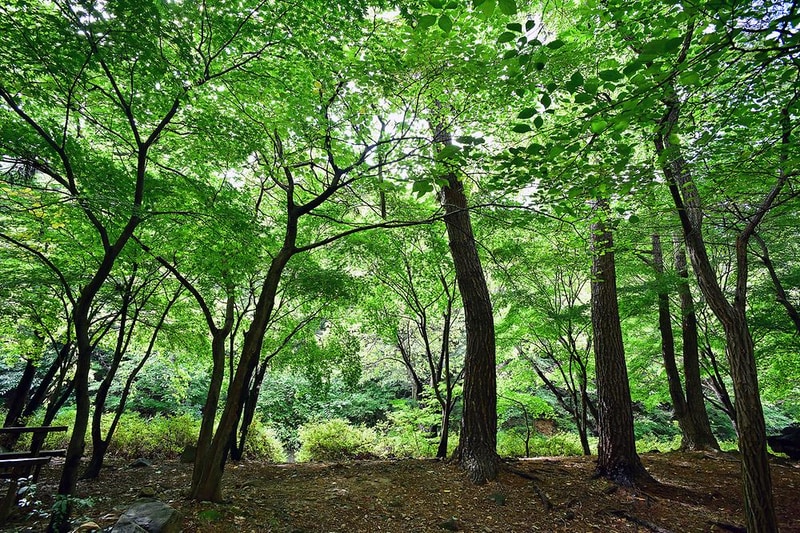 내장산국립공원 내장야영장 시설 사진 4