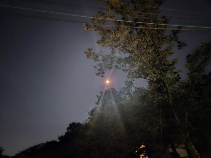 61th. 한여름의 시원함을 포천하얀숲글램핑&오토캠핑장에서~!