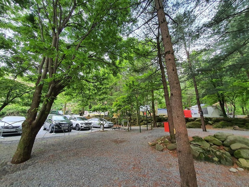 단양 천동계곡 캠핑장 그린농원 시설 사진 11