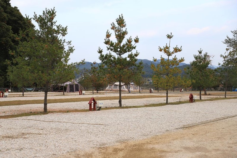 알멕스랜드캠핑장 시설 사진 14