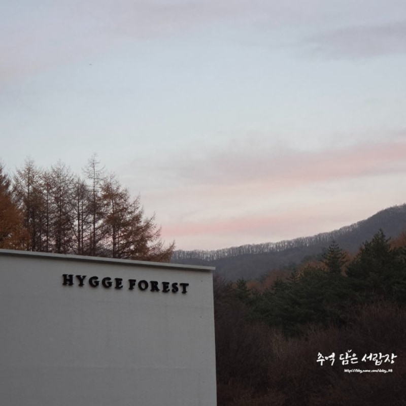 평창 5성급 캠핑장 모든게 좋았던 휘게포레스트 #1. 체크인...