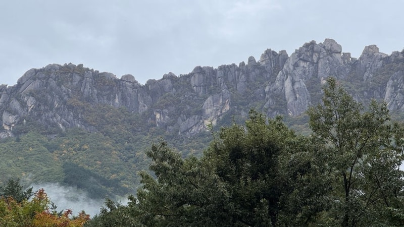 강원도/고성/속초 울산바위 뷰 캠핑장_캠핑느루