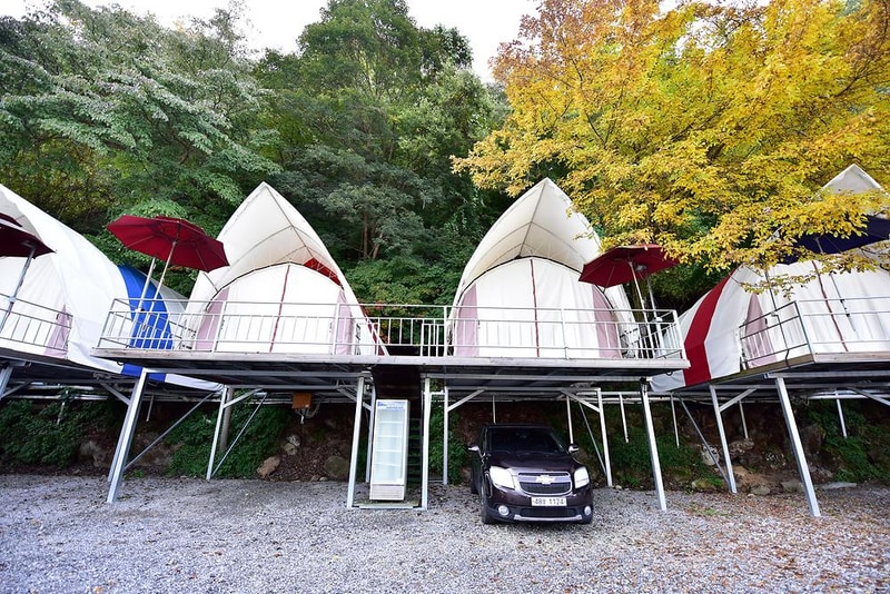 하늘숲글램핑 파크 시설 사진 5