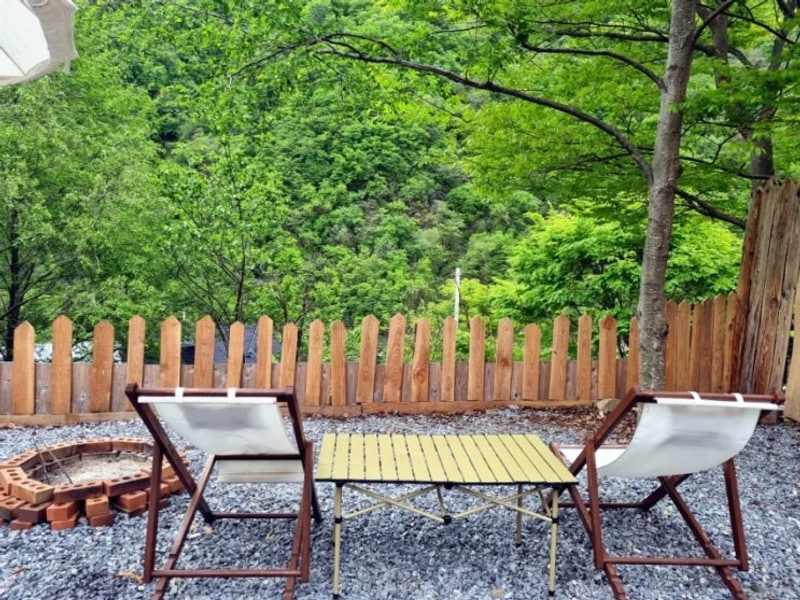 강원 평창 숲뷰 투명 돔스테이 뇌운계곡글램핑 찐후기