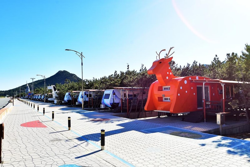 영덕 고래불 국민 야영장 시설 사진 6