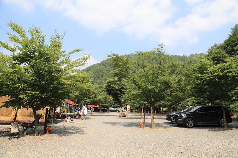 길캠프 대표 사진