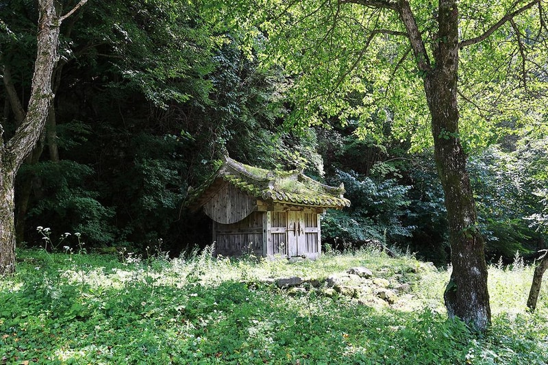 태백고원자연휴양림 자동차야영장 시설 사진 28