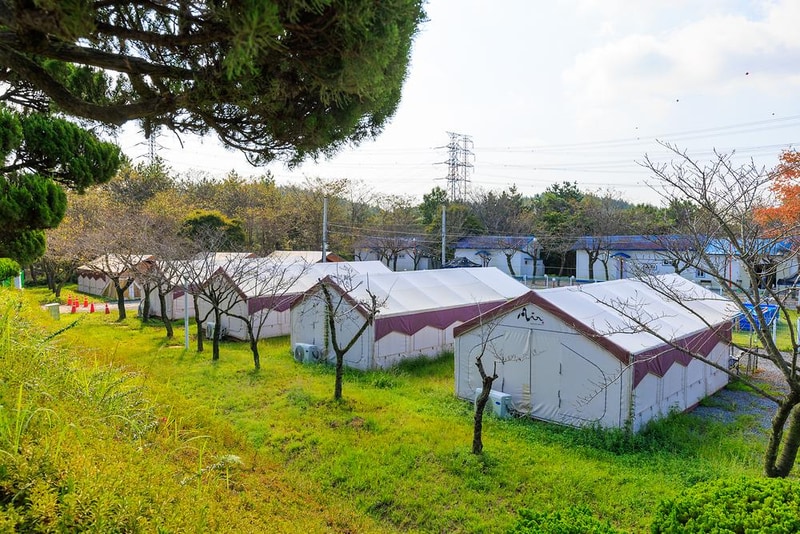 펫앤트리 시설 사진 16