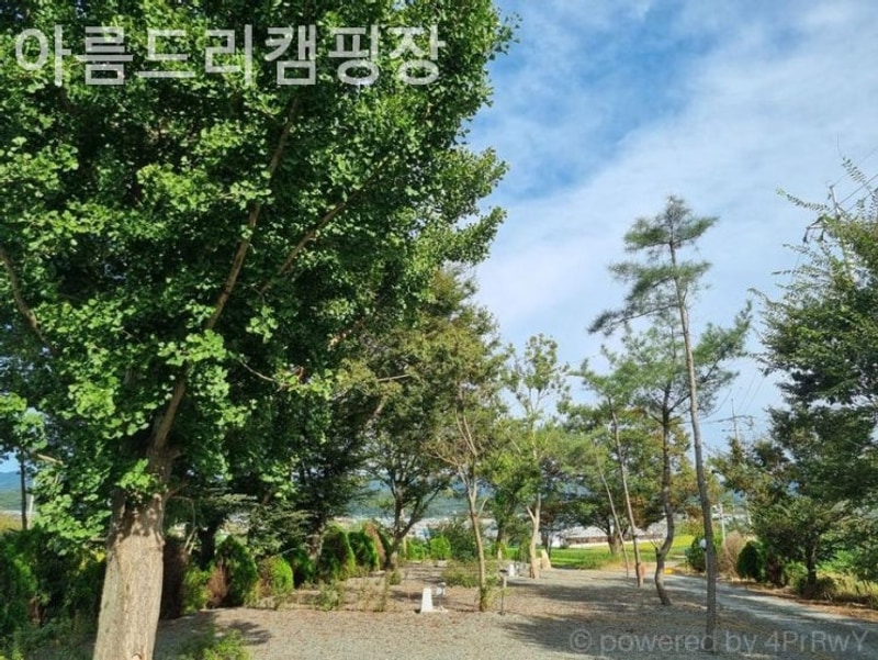 경주 캠핑장 아름드리캠핑장 편안한 휴식을 보장하는 캠핑장