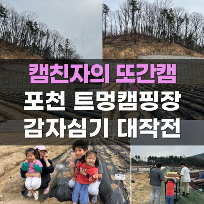 2주만에 다시 찾은 포천 트멍 캠핑장에서 감자심기 어떤데
