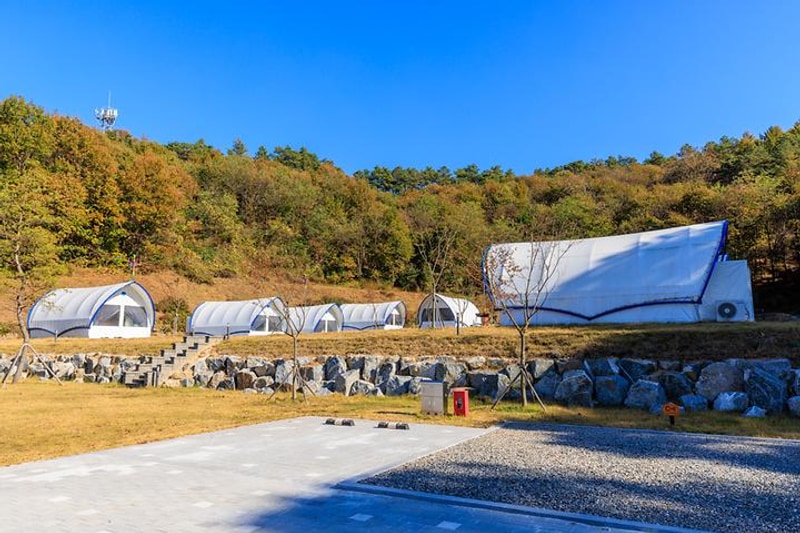 보은국민여가캠핑장 대표 사진