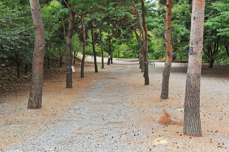계곡과소나무 캠핑장 시설 사진 11