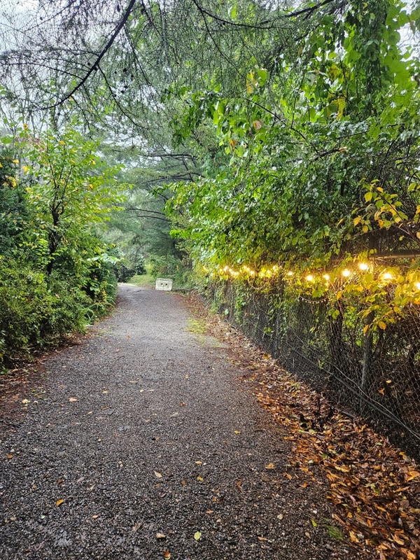 [포천 글램핑] 백운계곡캠핑장
