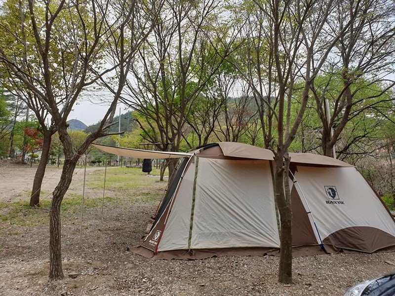 타닥타닥캠핑장 대표 사진