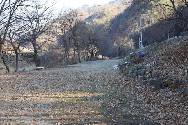 청일관광농원 대표 사진