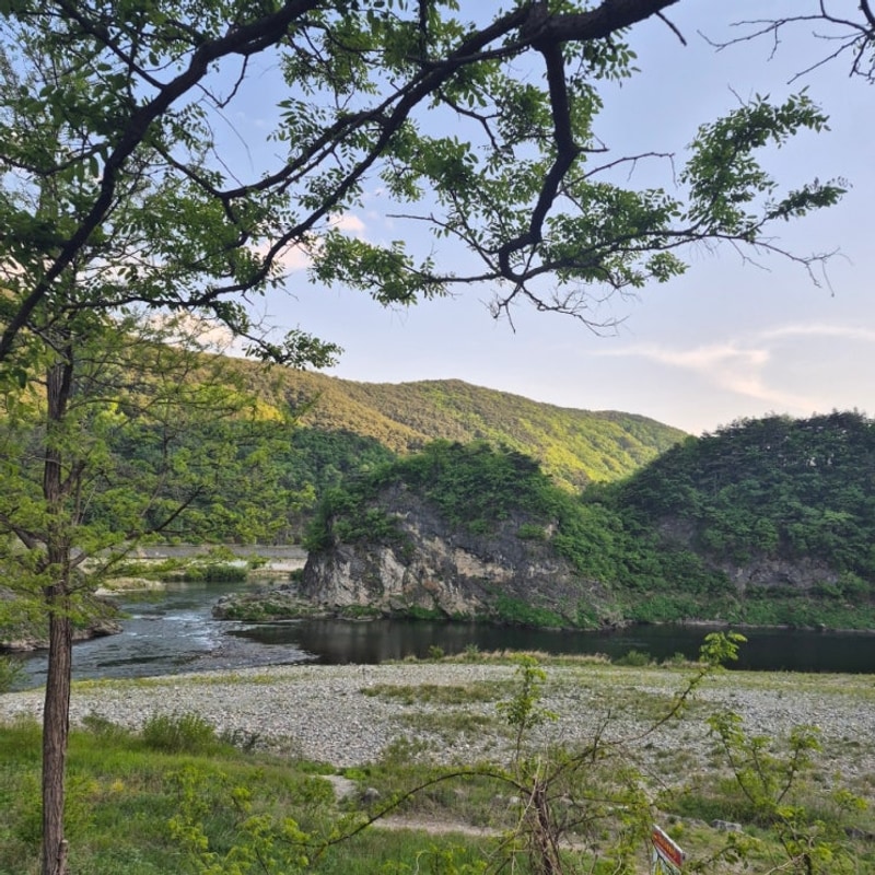 영월 동강 오토캠핑장 예약 명당자리