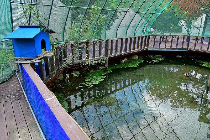 자일랜드 시설 사진 12