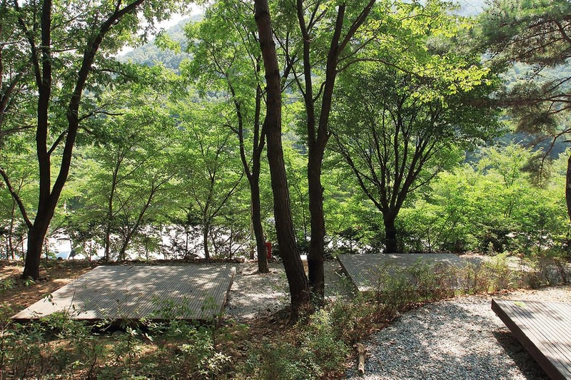 용현 자연휴양림 야영장 시설 사진 8