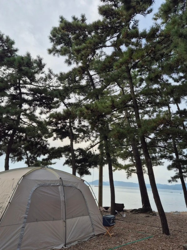 서산벌천포캠핑장 오션뷰 캠핑장 명당추천