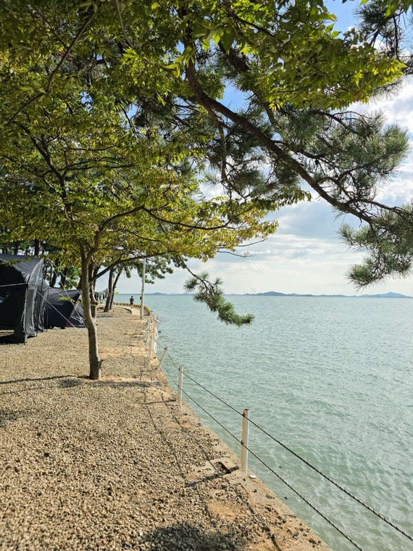 전남 무안 캠핑장 추천 '홀통 183' 이용 후기 및 사이트 추천...