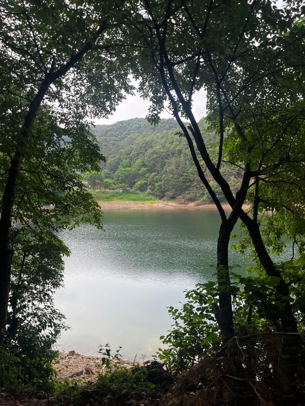 안성 오토캠핑장 산우물쉼터오토캠핑장&카라반 호수낚시...