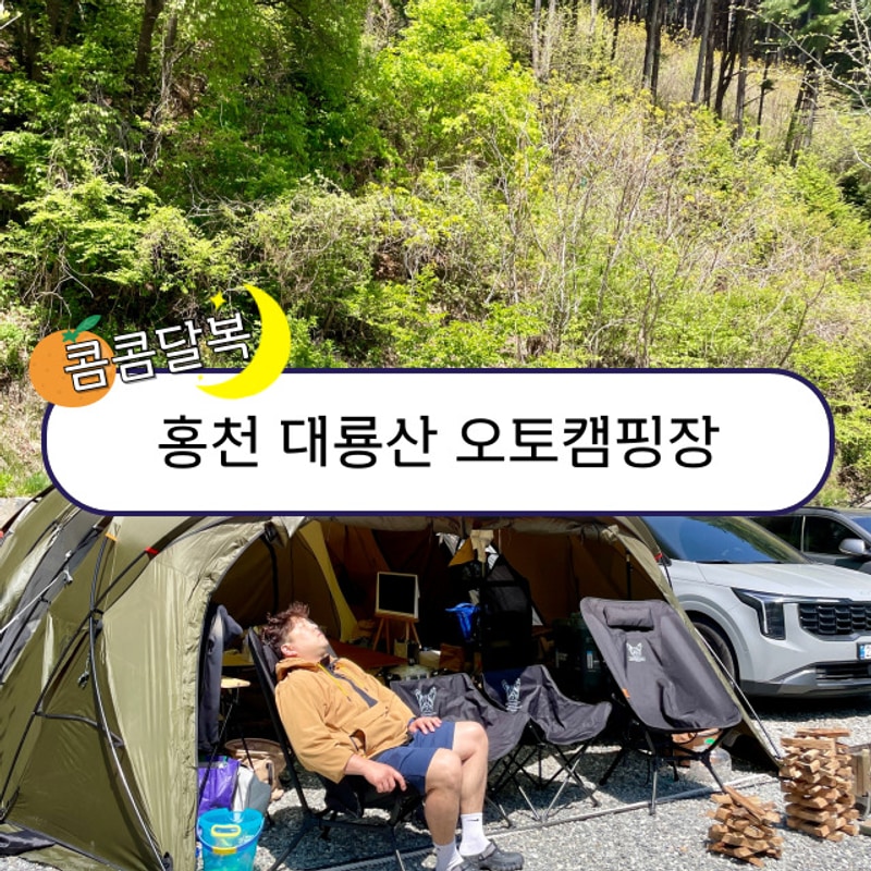 홍천 대룡산 오토캠핑장 애견동반 (애견놀이터, 계곡...