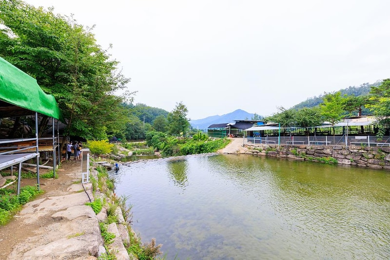 팔공 쉼터 야영장 시설 사진 12