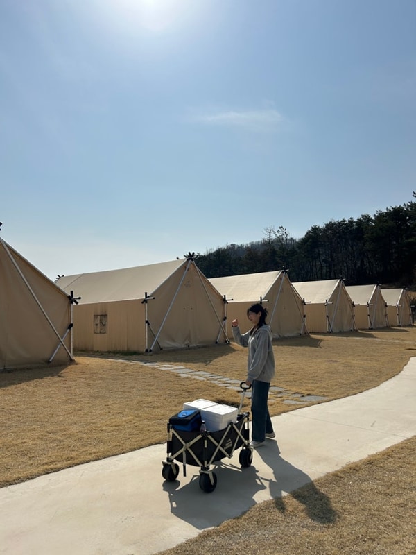 대구근교글램핑  애견동반가능한 칠곡글램핑장  하이스트글램핑