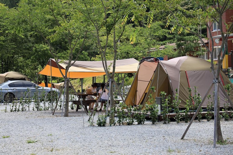 봉화솔향가득서울캠핑장 시설 사진 3