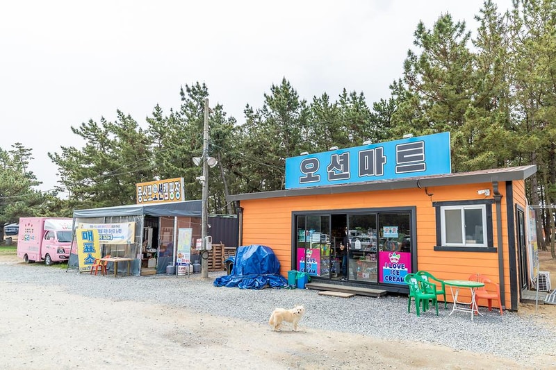 몽산포오션캠핑장 시설 사진 3