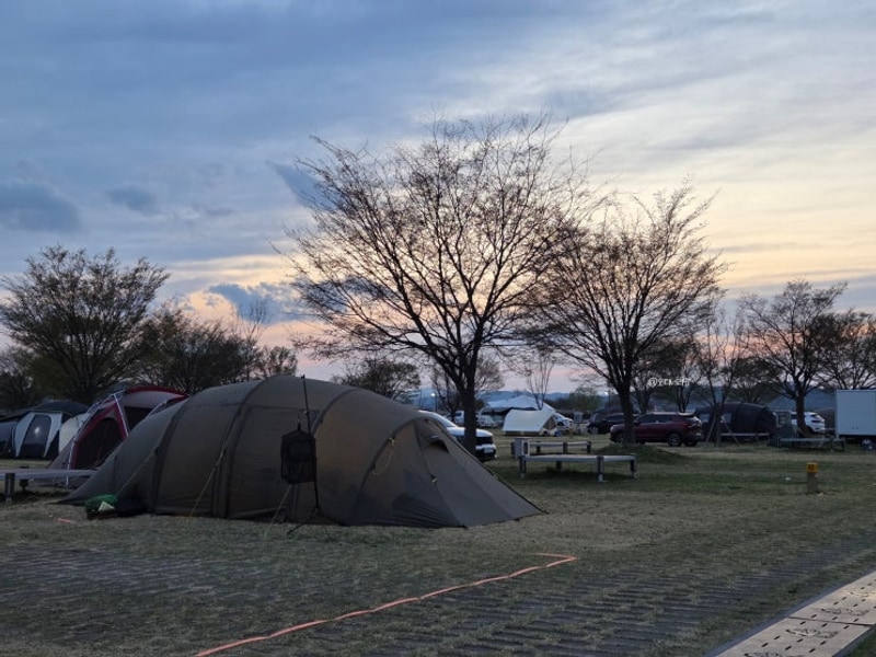 경남 함안강나루캠핑장 1캠핑장 이용후기