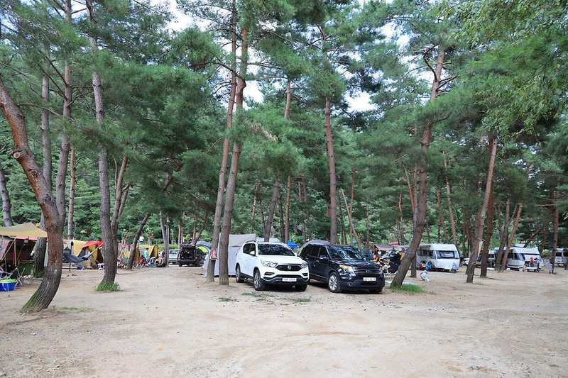 용오름캠핑장 시설 사진 8